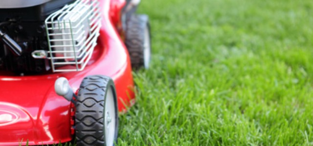 ferramenta micco settore giardinaggio